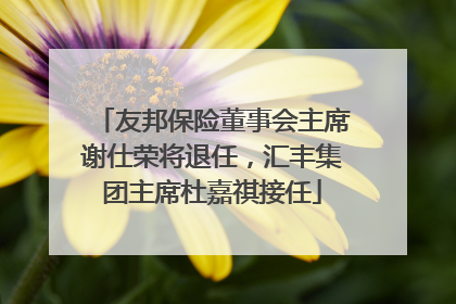 友邦保险董事会主席谢仕荣将退任，汇丰集团主席杜嘉祺接任