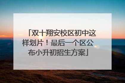 双十翔安校区初中这样划片！最后一个区公布小升初招生方案