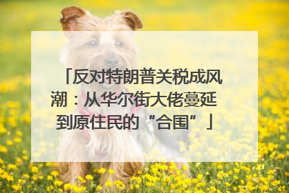 反对特朗普关税成风潮：从华尔街大佬蔓延到原住民的“合围”