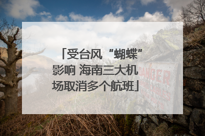 受台风“蝴蝶”影响 海南三大机场取消多个航班