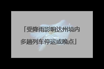 受降雨影响达州境内多趟列车停运或晚点