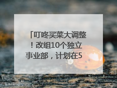 叮咚买菜大调整！改组10个独立事业部，计划在5月完成App端全面改版