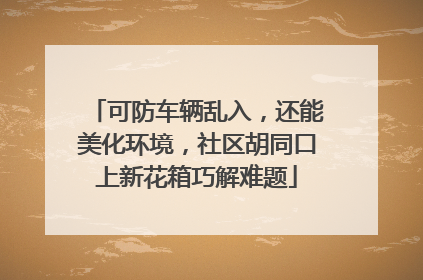 可防车辆乱入，还能美化环境，社区胡同口上新花箱巧解难题