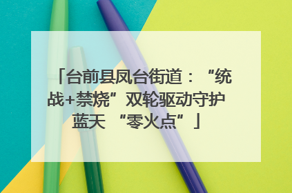 台前县凤台街道：“统战+禁烧”双轮驱动守护蓝天 “零火点”