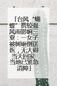 台风“蝴蝶”携较强风雨影响三亚：一女子被树砸倒送医，无大碍当天回家 当地已紧急清障