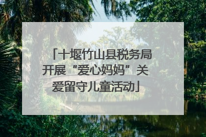 十堰竹山县税务局开展“爱心妈妈”关爱留守儿童活动