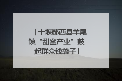 十堰郧西县羊尾镇“甜蜜产业”鼓起群众钱袋子