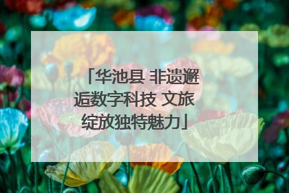 华池县 非遗邂逅数字科技 文旅绽放独特魅力