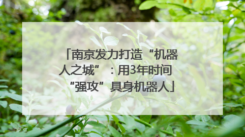 南京发力打造“机器人之城”：用3年时间“强攻”具身机器人