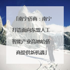 南宁侨商：南宁打造面向东盟人工智能产业高地给侨商提供新机遇