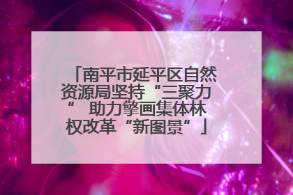 南平市延平区自然资源局坚持“三聚力” 助力擎画集体林权改革“新图景”