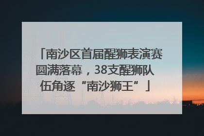 南沙区首届醒狮表演赛圆满落幕，38支醒狮队伍角逐“南沙狮王”