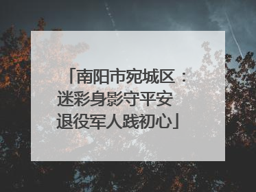 南阳市宛城区：迷彩身影守平安 退役军人践初心