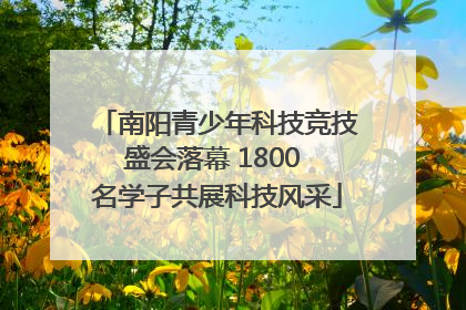 南阳青少年科技竞技盛会落幕 1800 名学子共展科技风采