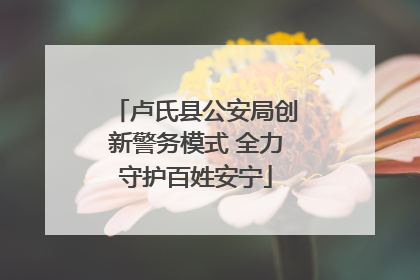 卢氏县公安局创新警务模式 全力守护百姓安宁