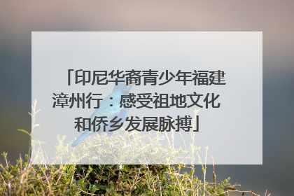 印尼华裔青少年福建漳州行：感受祖地文化和侨乡发展脉搏