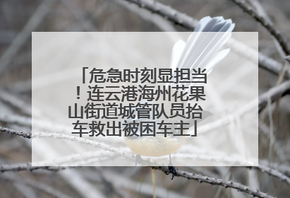 危急时刻显担当！连云港海州花果山街道城管队员抬车救出被困车主
