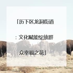历下区龙洞街道：文化赋能绽放群众幸福之花