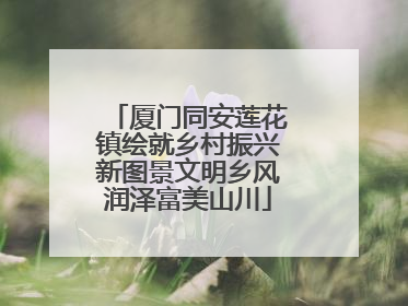 厦门同安莲花镇绘就乡村振兴新图景文明乡风润泽富美山川