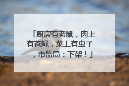 厨房有老鼠，肉上有苍蝇，菜上有虫子，市监局：下架！