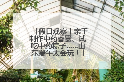 假日观察丨亲手制作中药香囊、试吃中药粽子……山东端午太会玩！