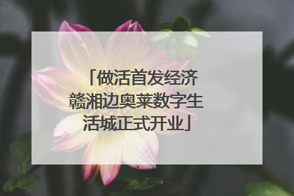 做活首发经济 赣湘边奥莱数字生活城正式开业