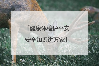 健康体检护平安 安全知识进万家