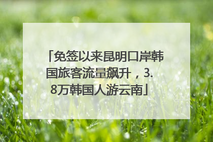 免签以来昆明口岸韩国旅客流量飙升，3.8万韩国人游云南