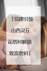 党建引领 山西灵丘花塔村解锁致富密码