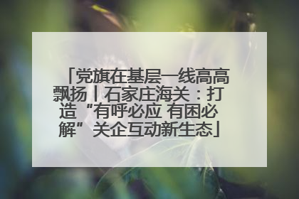 党旗在基层一线高高飘扬丨石家庄海关：打造“有呼必应 有困必解”关企互动新生态