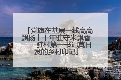党旗在基层一线高高飘扬丨十年驻守米飘香——驻村第一书记莫日发的乡村印记