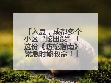入夏，成都多个小区“蛇出没”！这份《防蛇指南》紧急时能救命！