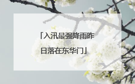 入汛最强降雨昨日落在东华门