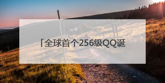 全球首个256级QQ诞生！腾讯公关总监回应