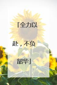 全力以赴，不负韶华