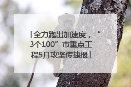 全力跑出加速度，“3个100”市重点工程5月攻坚传捷报
