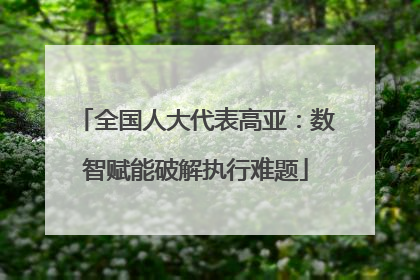 全国人大代表高亚：数智赋能破解执行难题