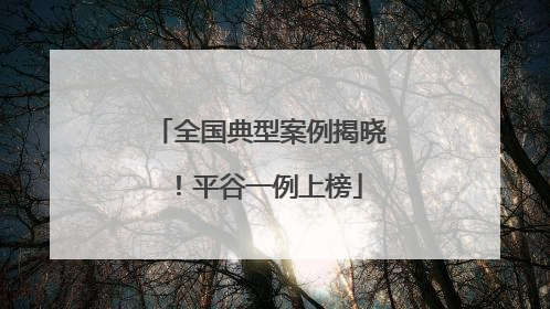 全国典型案例揭晓！平谷一例上榜