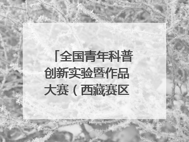 全国青年科普创新实验暨作品大赛（西藏赛区）复赛关注智慧环保等主题