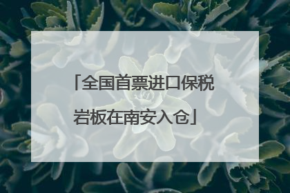 全国首票进口保税岩板在南安入仓