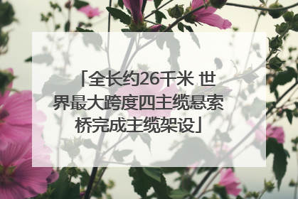 全长约26千米 世界最大跨度四主缆悬索桥完成主缆架设
