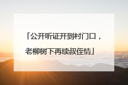 公开听证开到村门口，老柳树下再续叔侄情