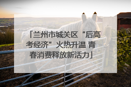 兰州市城关区“后高考经济”火热升温 青春消费释放新活力