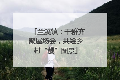 兰溪镇：干群齐聚屋场会，共绘乡村“靓”图景