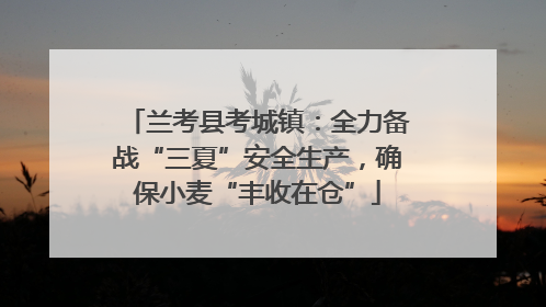 兰考县考城镇：全力备战“三夏”安全生产，确保小麦“丰收在仓”