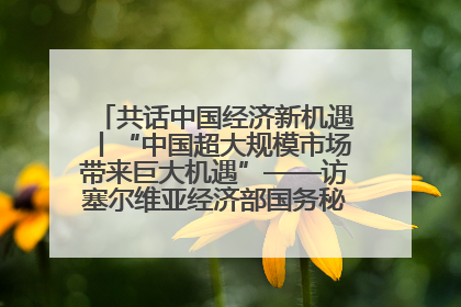 共话中国经济新机遇丨“中国超大规模市场带来巨大机遇”——访塞尔维亚经济部国务秘书尼科利奇