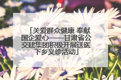 关爱群众健康 奉献国企爱心——甘肃省公交建集团积极开展送医下乡义诊活动