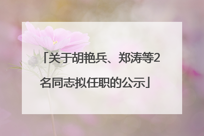 关于胡艳兵、郑涛等2名同志拟任职的公示