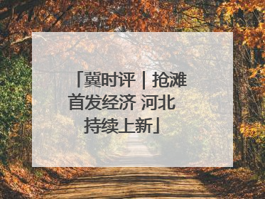 冀时评｜抢滩首发经济 河北持续上新