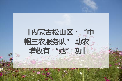 内蒙古松山区：“巾帼三农服务队” 助农增收有 “她” 功